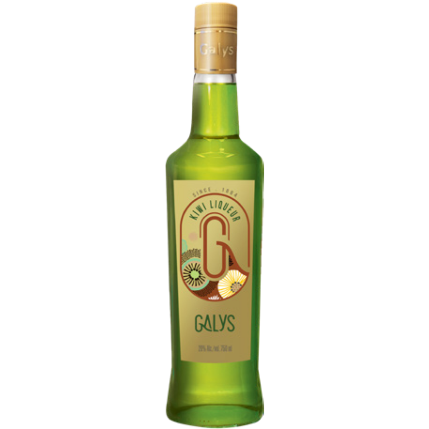 Garrafas Export (10)