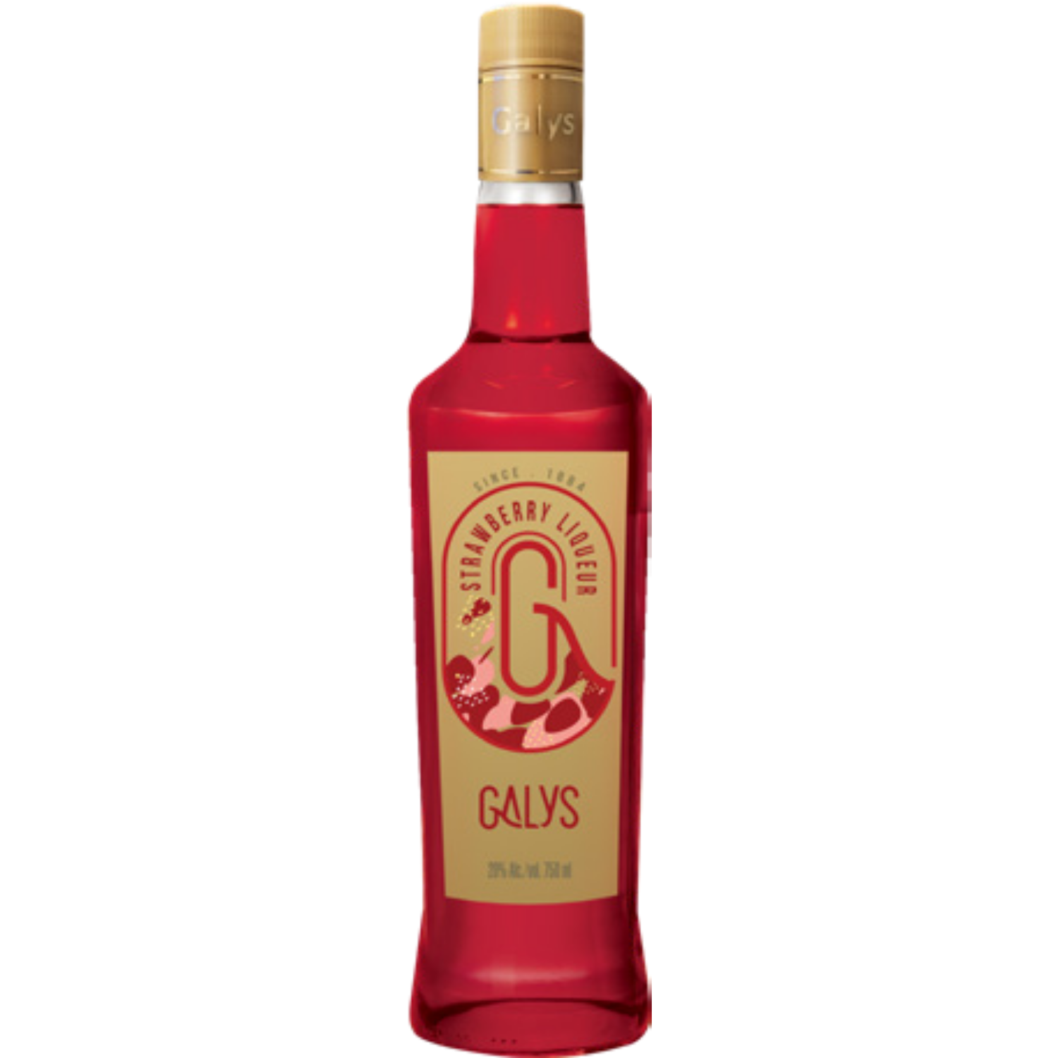 Garrafas Export (14)