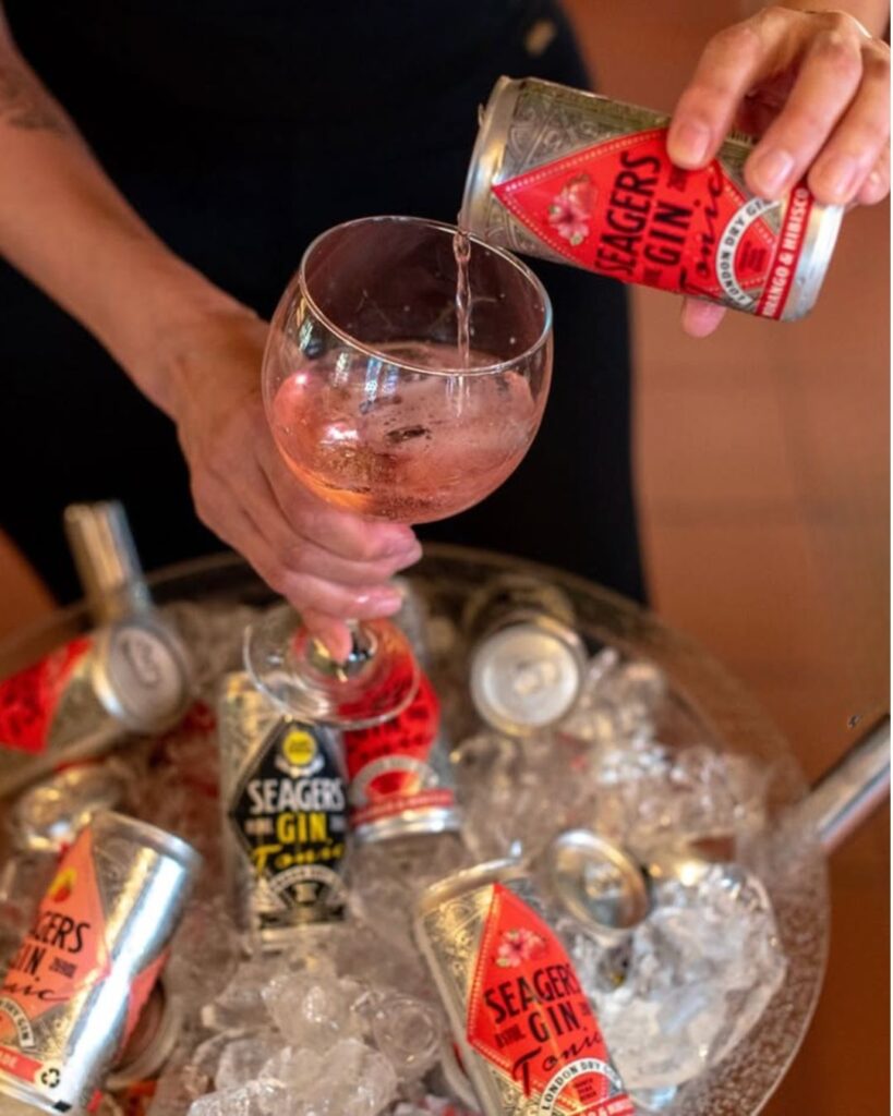Seagers Gin Tonic (1)
